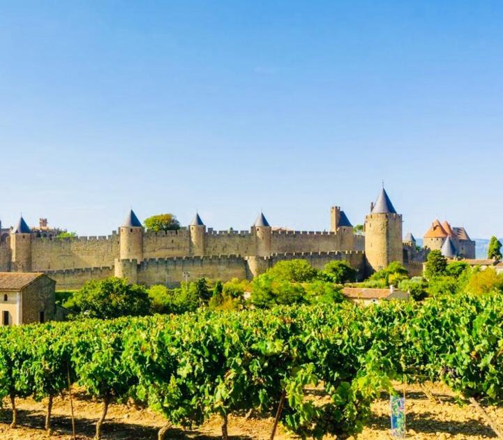 Apartament T2 Cocooning Vue Panoramique Cite Carcassonne Zewnętrze zdjęcie